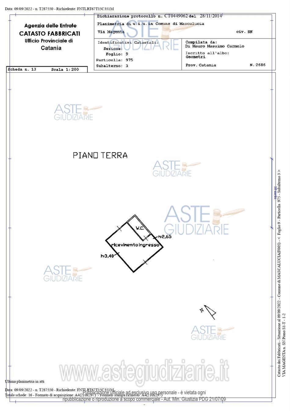 Planimetria-CT-F-254-2021-13.jpg