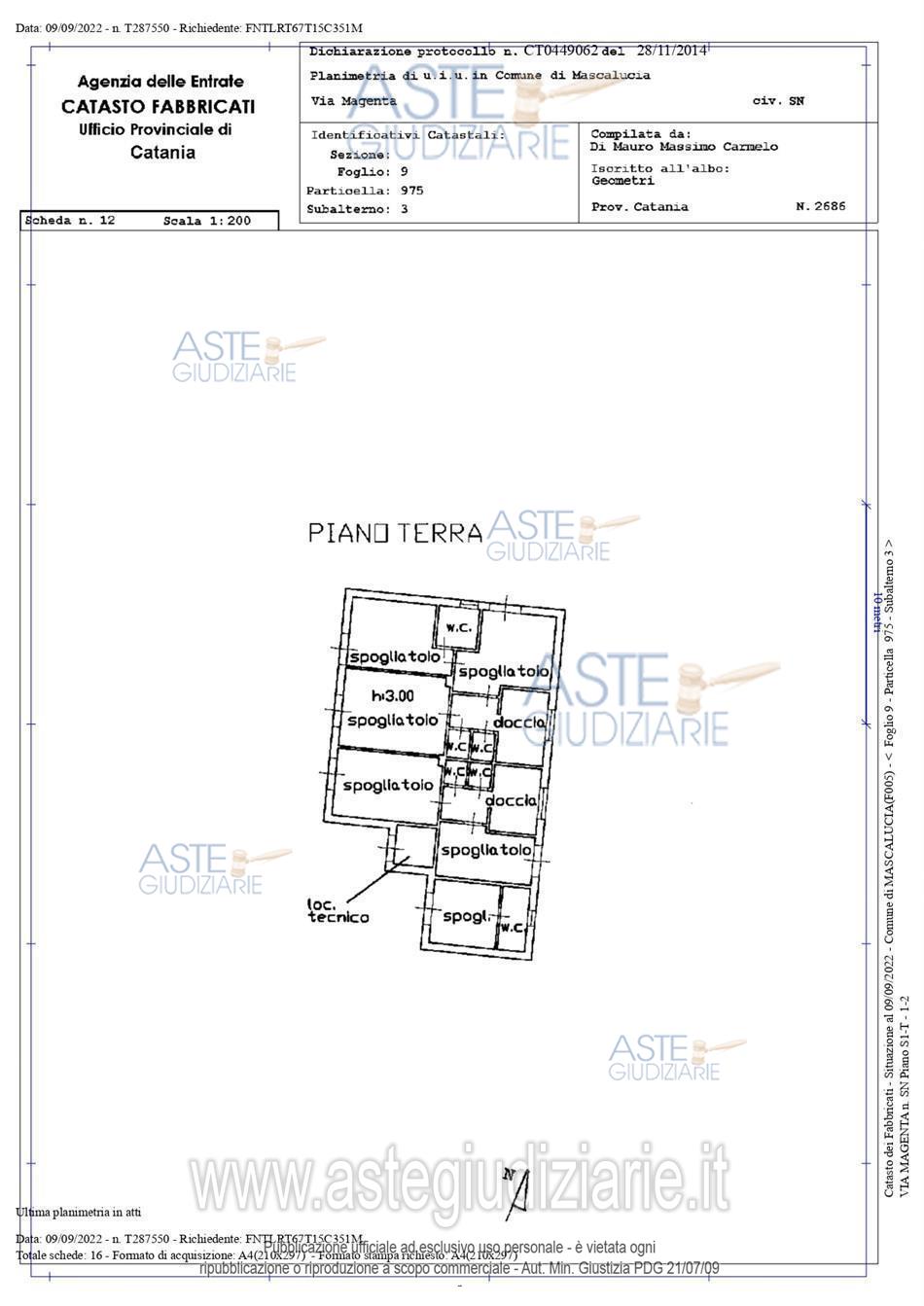 Planimetria-CT-F-254-2021-12.jpg